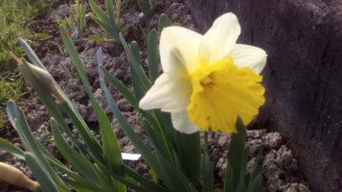 2012-04-20-031.jpg