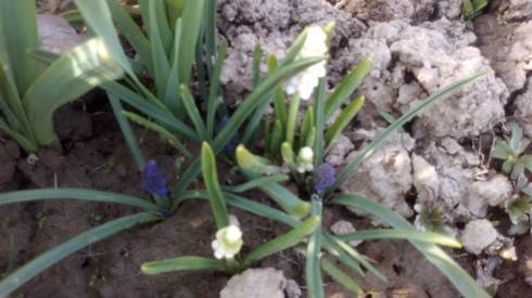 2012-04-20-029.jpg