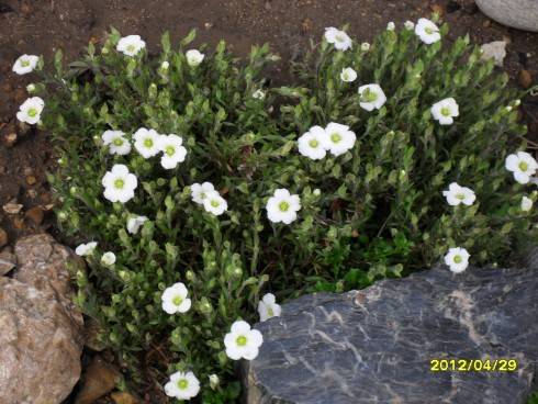 duben 2012 026.jpg