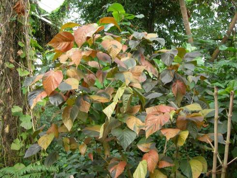 DSCN5770.JPG