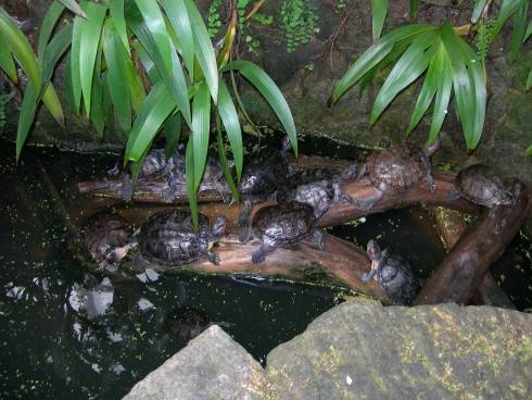 DSCN5771.JPG