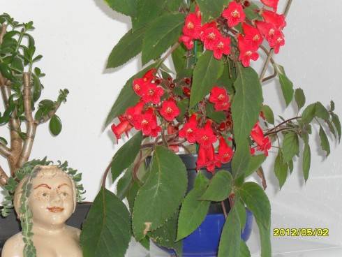 duben 2012 025.jpg
