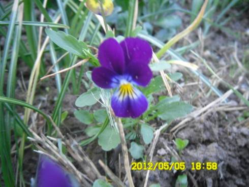 Praha 2012 059.JPG