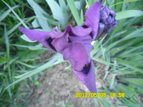 Praha 2012 062.JPG
