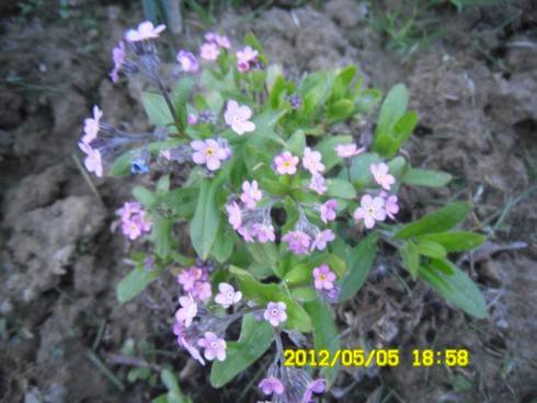 Praha 2012 064.JPG