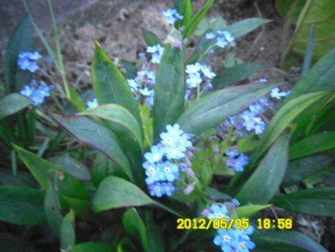 Praha 2012 065.JPG