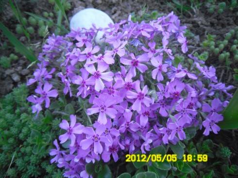 Praha 2012 069.JPG