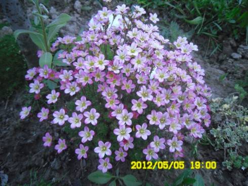 Praha 2012 071.JPG