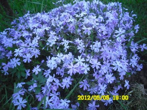 Praha 2012 075.JPG