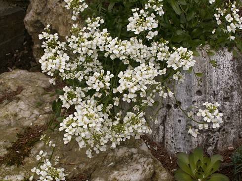 PICT0031.JPG
