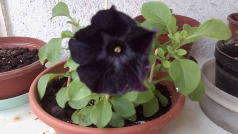 2012-05-30-063.jpg
