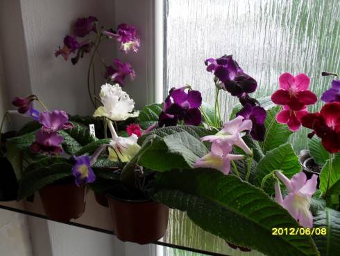 květen2012 170.jpg