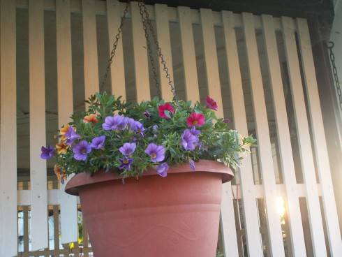 PICT0017.JPG