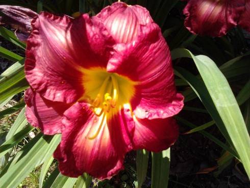 2012-07-06 14.29.42.jpg