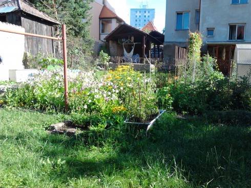2012-07-10 08.47.52.jpg