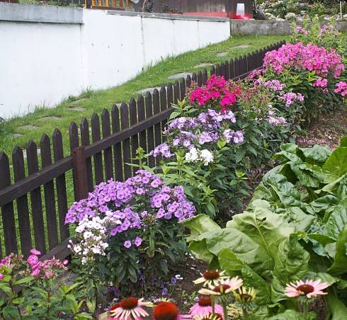 PICT0035.JPG