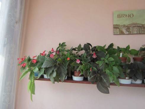 kohlerie veranda1.jpg