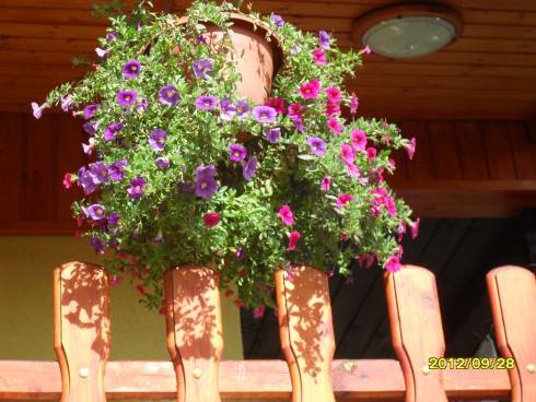 Švýcarsko 2012 295.jpg