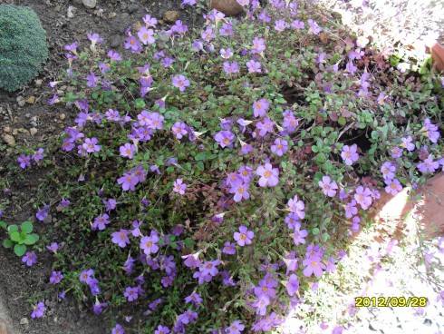 Švýcarsko 2012 301.jpg