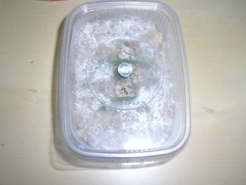 DSCN4548.JPG