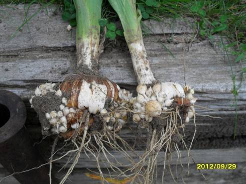 Švýcarsko 2012 311.jpg