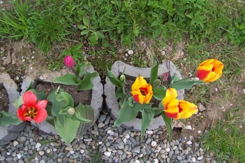 u kamarádky4.jpg