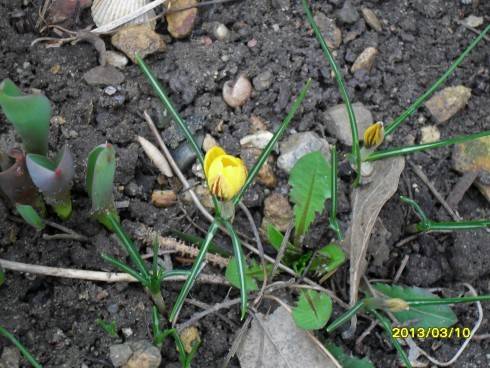 březen 2013 020.jpg