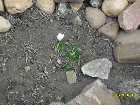 březen 2013 023.jpg
