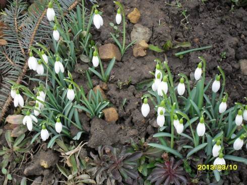 březen 2013 024.jpg