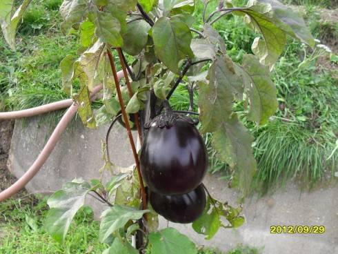 2012-2013 035.jpg