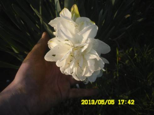 072.JPG