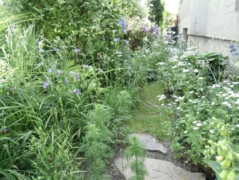CIMG3012.JPG