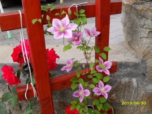 2012-2013 464.jpg
