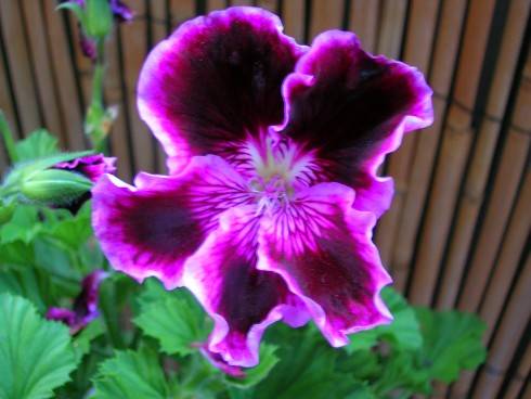 DSCN6327.JPG