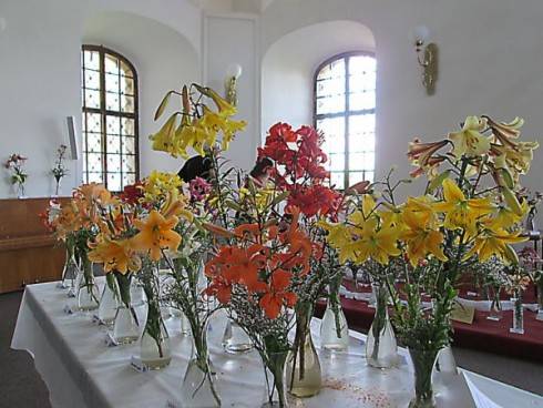 IMG_1077.jpg