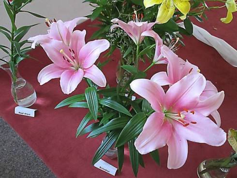 IMG_1082.jpg