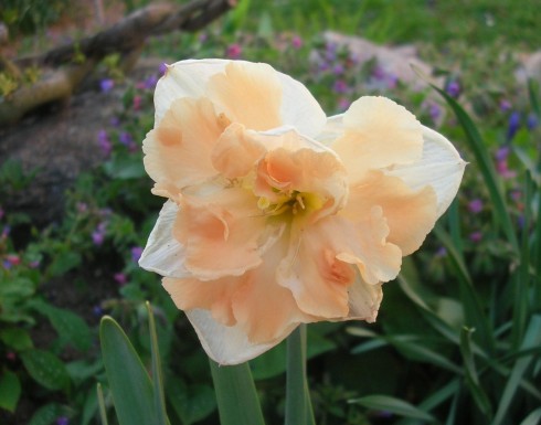 Snímek 391.jpg