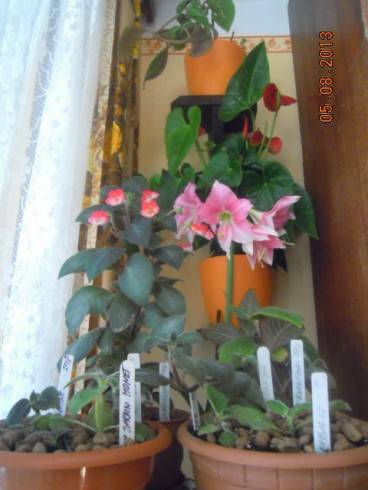 DSCN2421.JPG