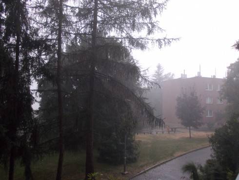 DSCN8629.JPG