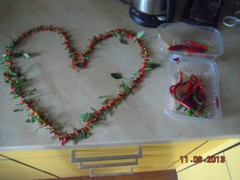 DSCN2506.JPG