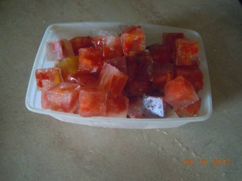 DSCN7226.JPG