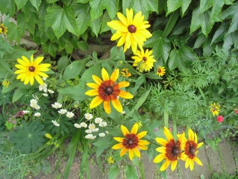 CIMG3371.JPG