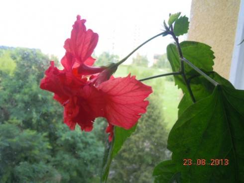 DSCN2942.JPG