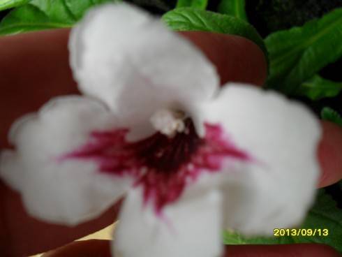 2012-2013 557.jpg