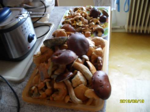 2012-2013 561.jpg