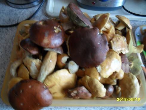 2012-2013 559.jpg