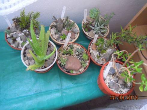 DSCN3758.JPG