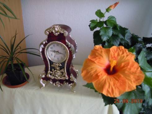 DSCN3761.JPG