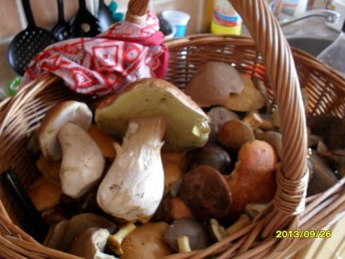 2012-2013 597.jpg