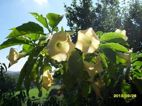 2012-2013 609.jpg